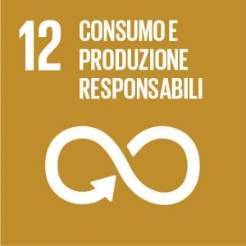 12-Consumo e produzione responsabili 