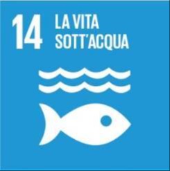 14-Vita sott'acqua