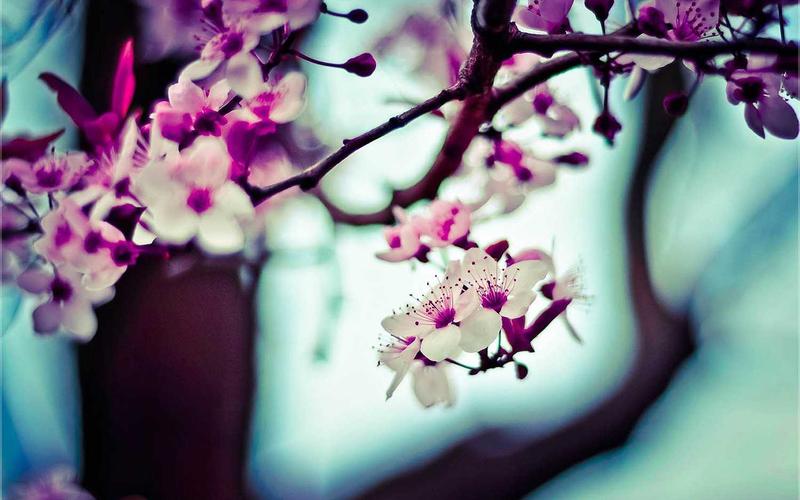 2º premio (mainsite)