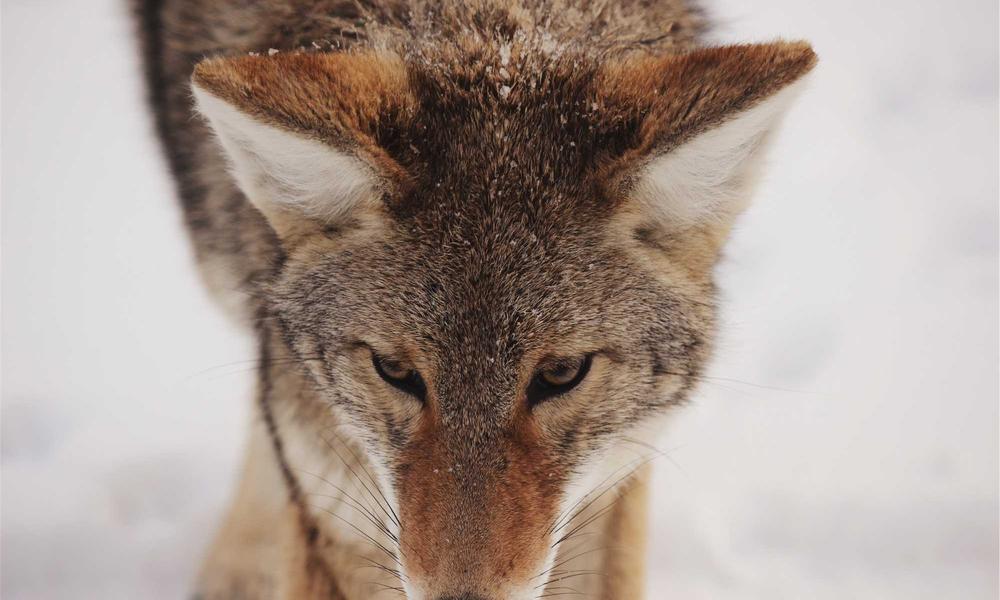 1º premio (mainsite)