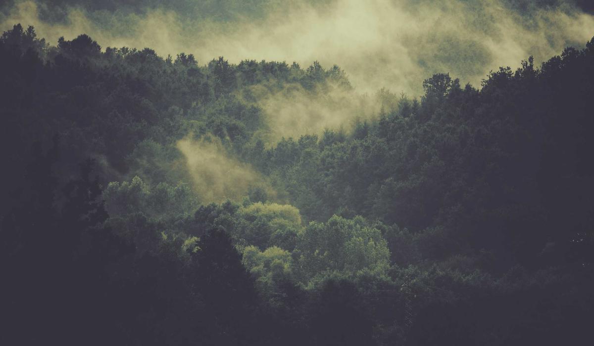 1º premio (mainsite)