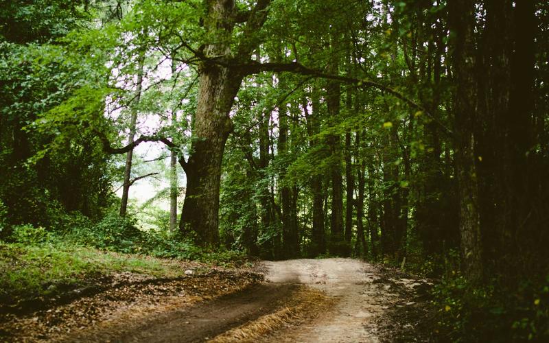 Gara cuori – Cuori per l'ambiente: Mainsite
