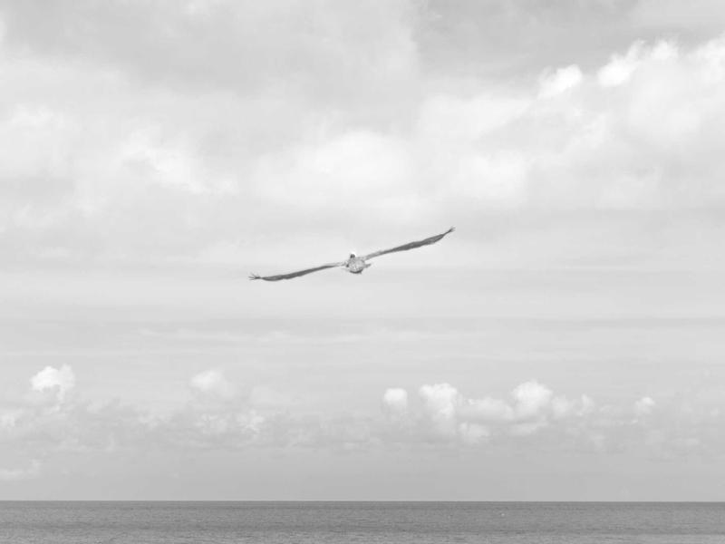 Gara cuori – Cuori in movimento: RISE AGAINST HUNGER ITALIA ONLUS