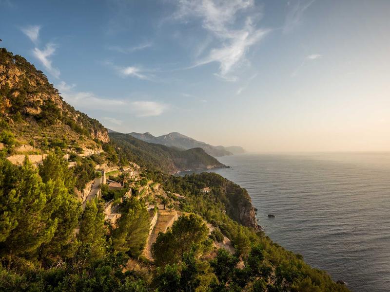 Gara cuori – Cuori per l'ambiente: RISE AGAINST HUNGER ITALIA ONLUS